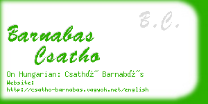 barnabas csatho business card